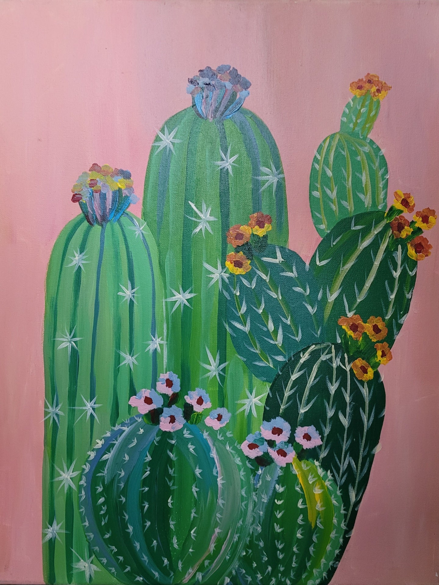 02/07/26, 12:00pm, Cacti