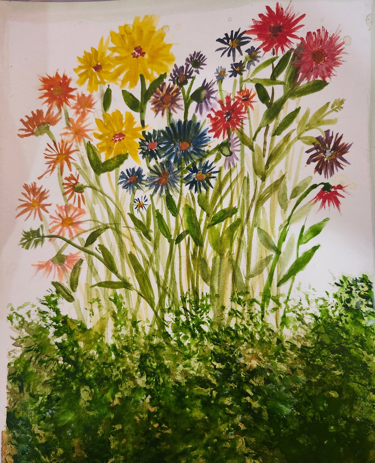 08/17/26, 2pm, Senior Day, Intro to Watercolor