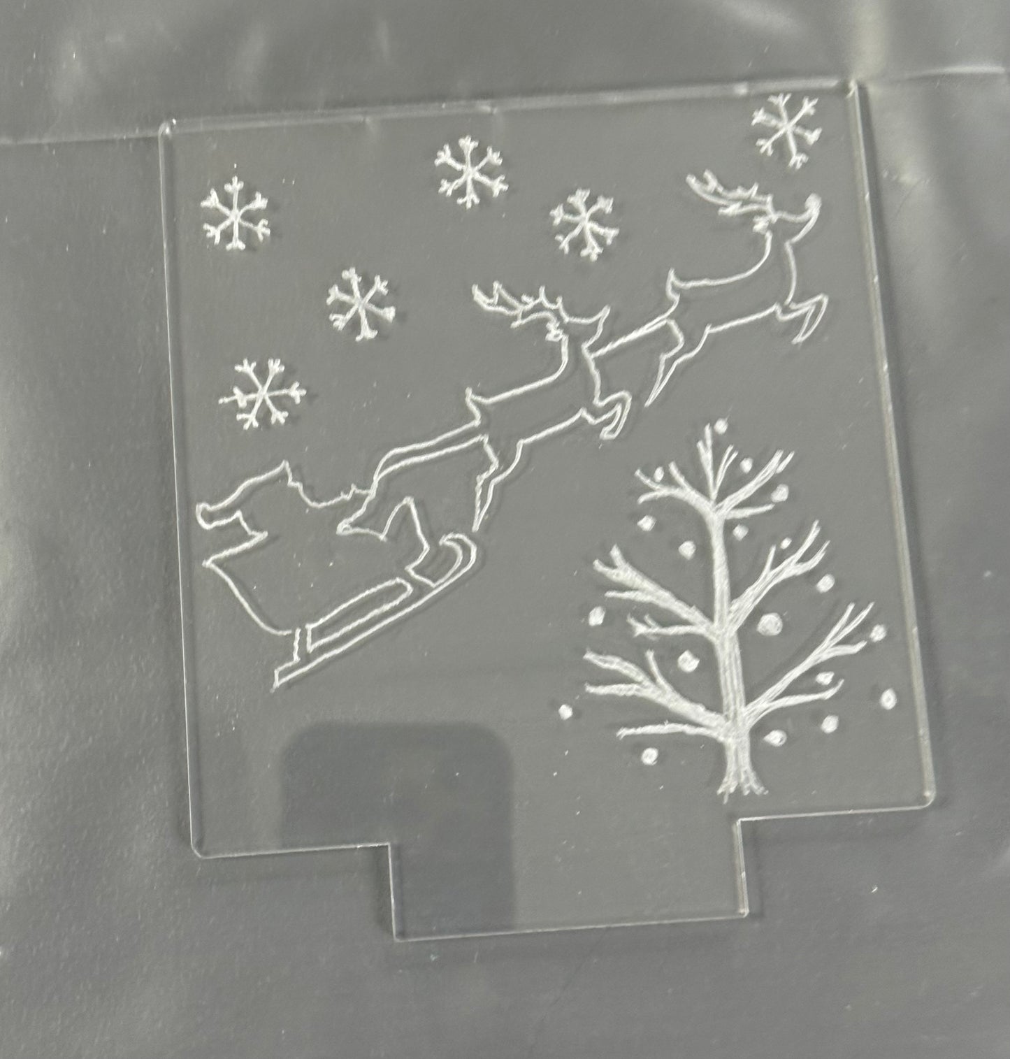 11/03, 1pm, Homeschool Day