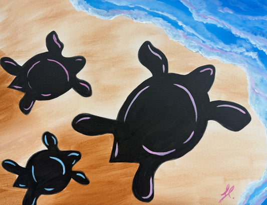 08/29, 4pm, Ocean Turtles