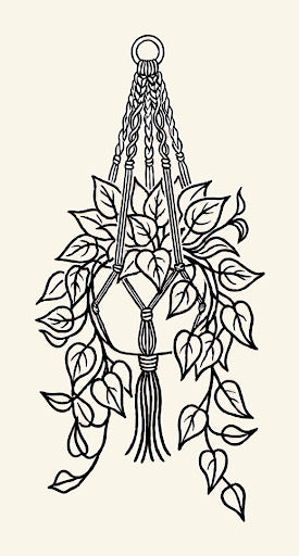 10/11/26, 12:00pm, Hanging Philodendron