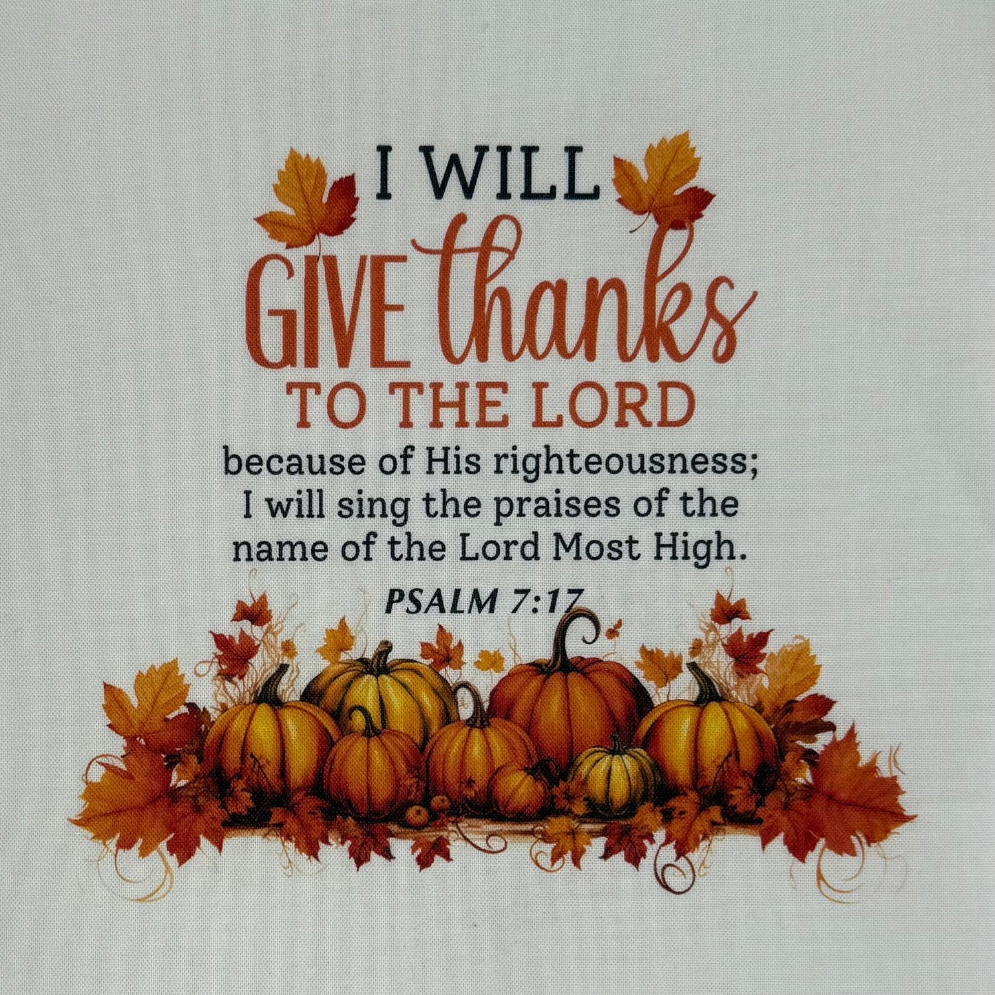 11/04, 2pm, Quilted Autumn Pillow