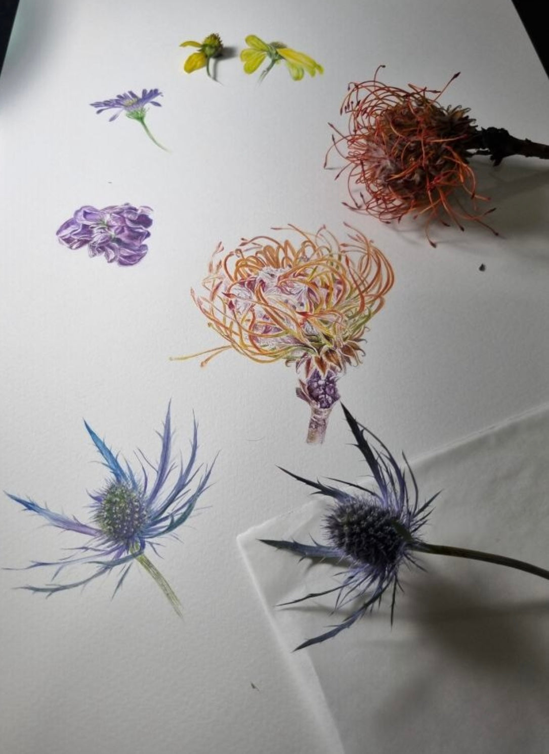 11/03, 10am, Mondays with Ming