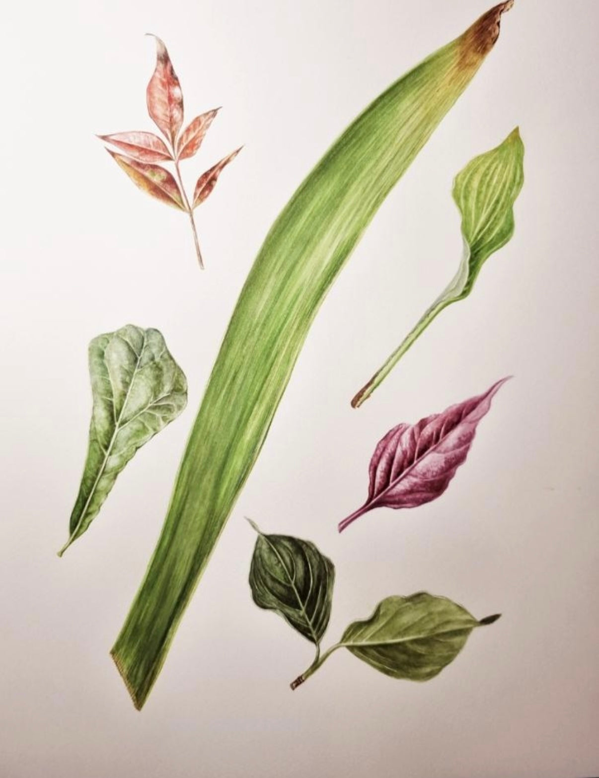 11/03, 10am, Mondays with Ming