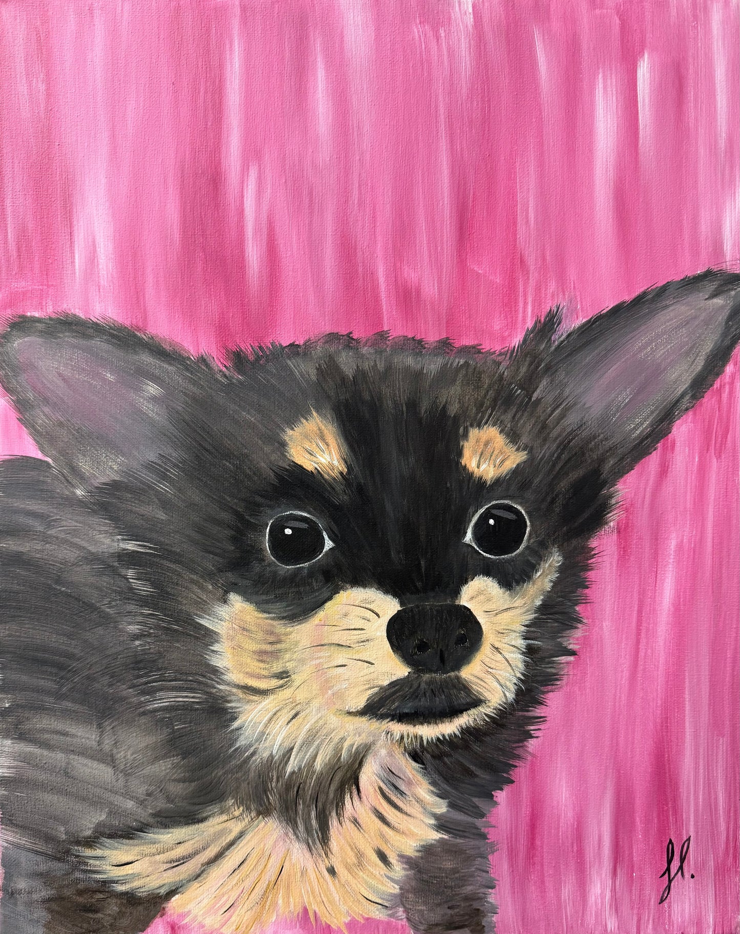 12/21, 2pm, Pet Portraits