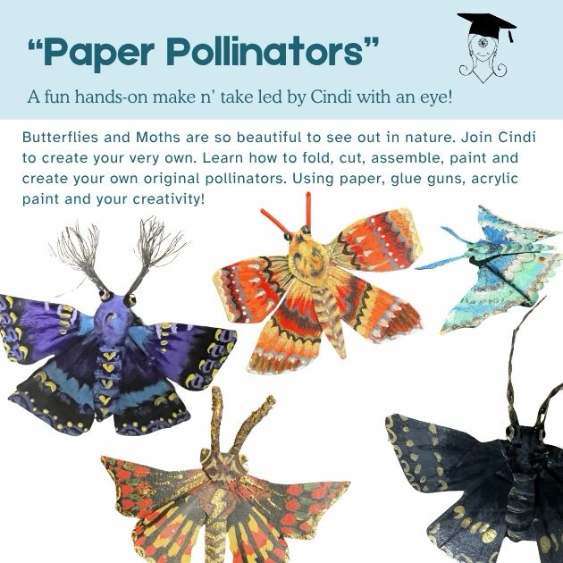 08/25/26, 2:00pm, Paper Pollinators