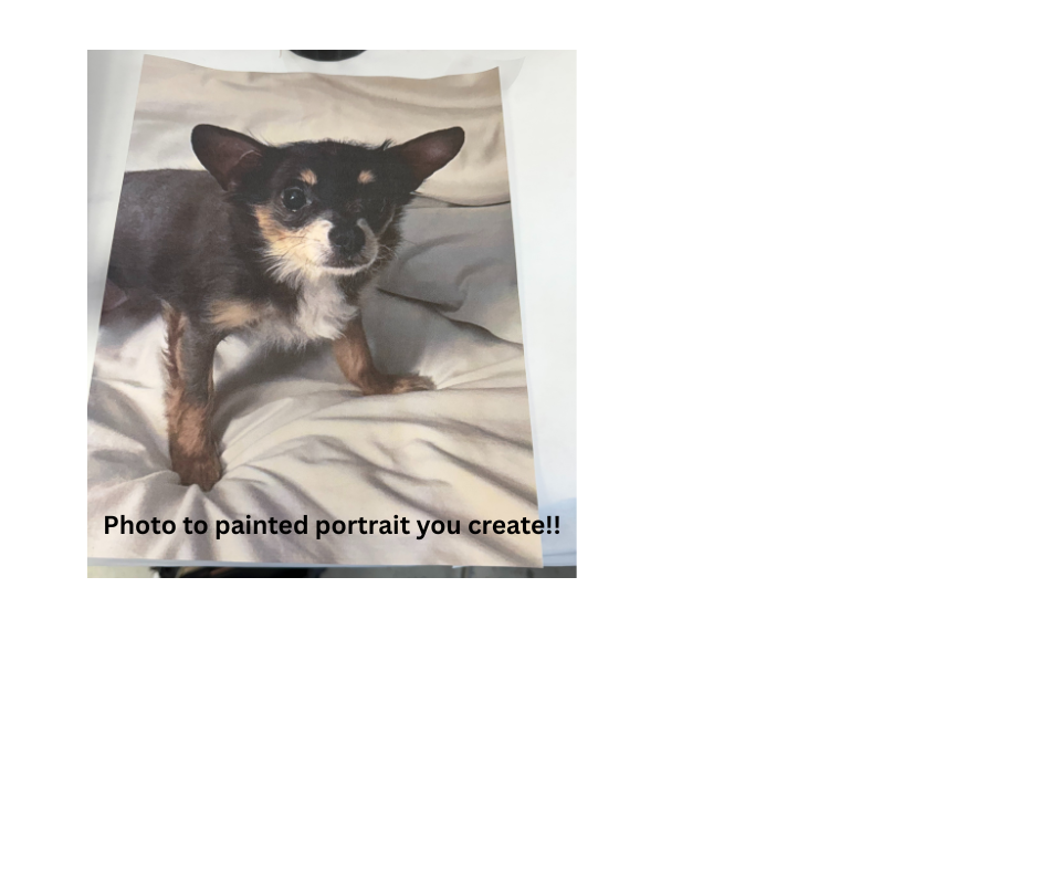 12/21, 2pm, Pet Portraits